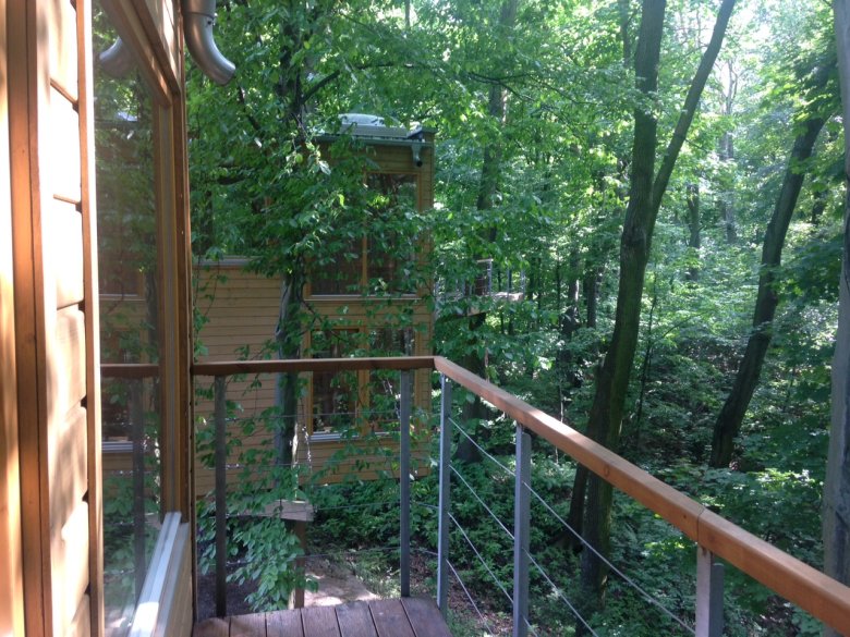 W Drzewach, Nałęczów