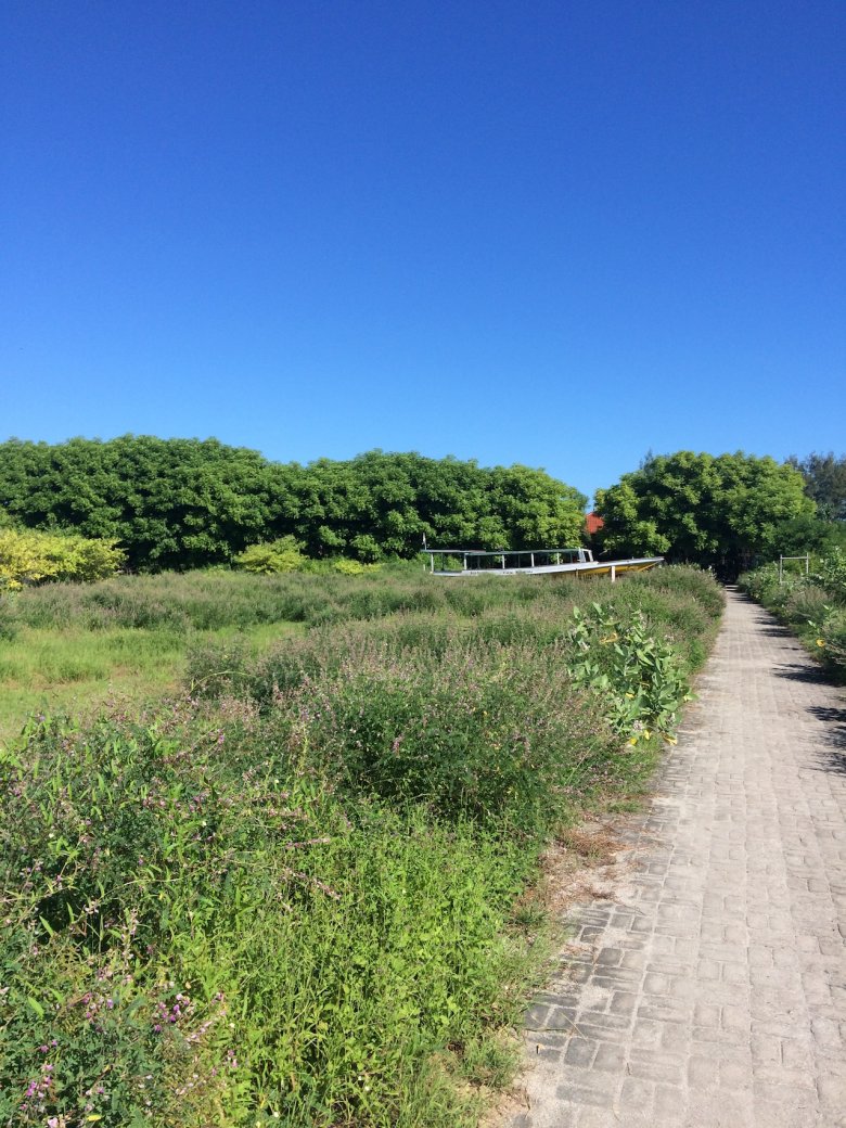 Błękity i zielenie, Gili Meno, 2016