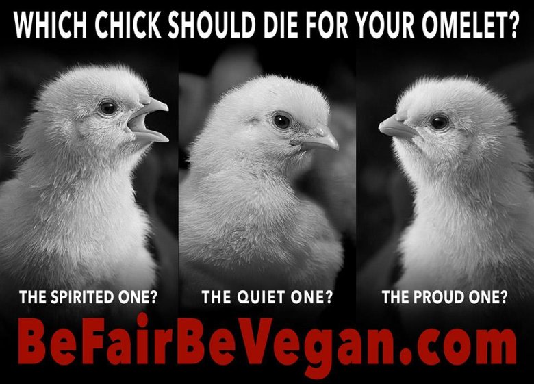 BE FAIR BEVEGAN - wegańska kampania billboardowa na Time Squere. 
Które wybierasz?