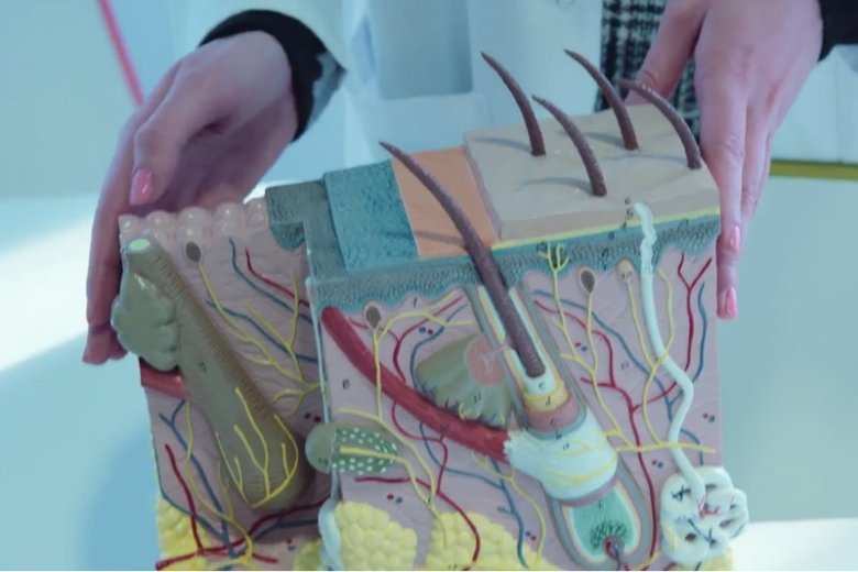 AZS czyli Atopowe Zapalenie Skóry to choroba o zróżnicowanym podłożu.  Jedną z kluczowych kwestii jest również psychika.