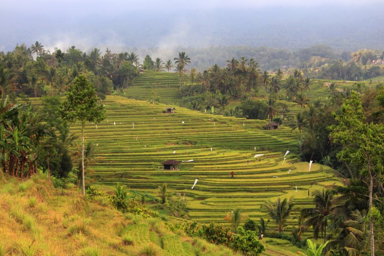 W trakcie podróży odwiedzę kilka wysp.