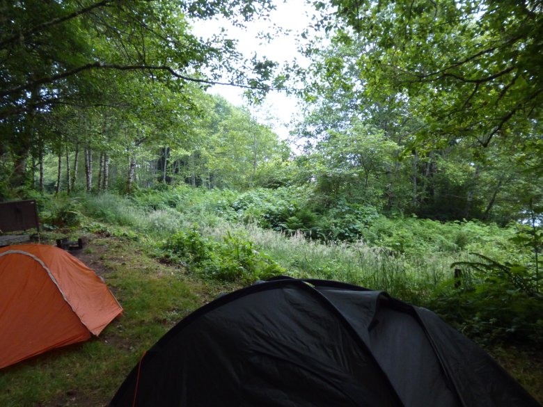 Zamglone, zimne i wilgotne wybrzeże Pacyfiku. Widzieliśmy tam wieloryba!