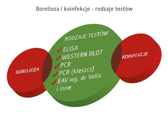 borelioza i koinfekcje - rodzaje testów