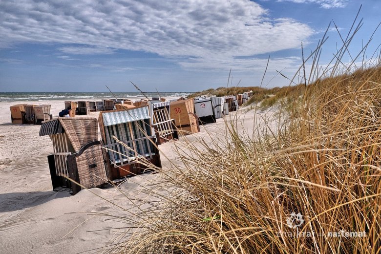 Wiklinowe kosze na bałtyckiej plaży półwyspu Darss
