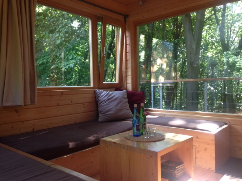 W Drzewach, Nałęczów