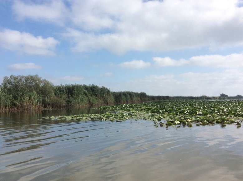 Delta Dunaju, Rumunia