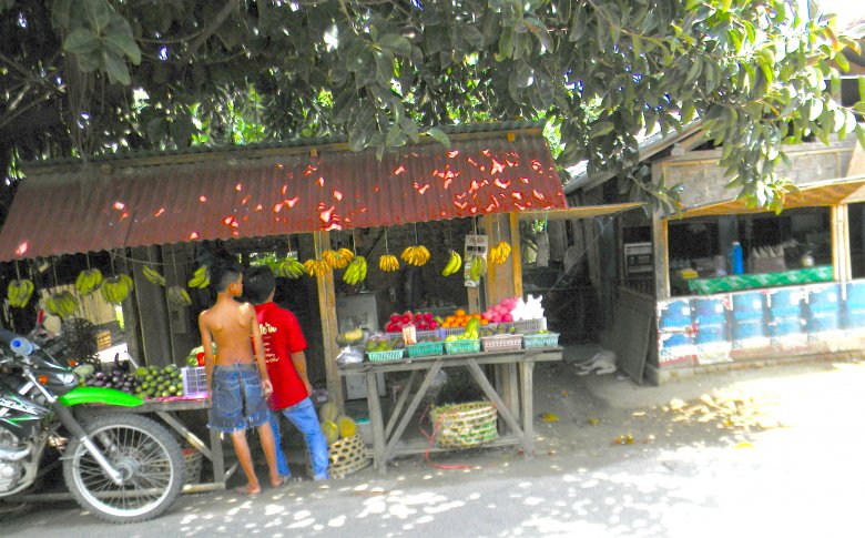 Kuta na Lombok, 2016