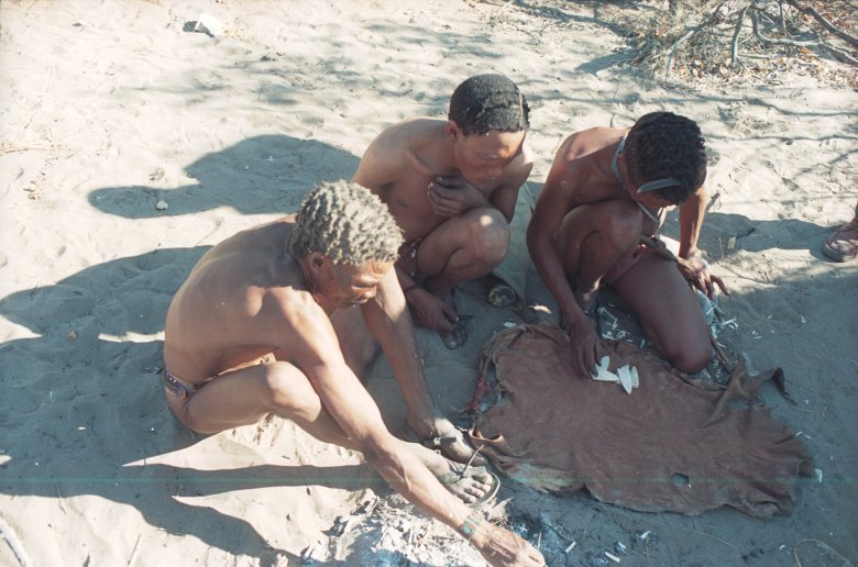 Poznajemy wynik jutrzejszego polowania- na Kalahari z buszmenami San