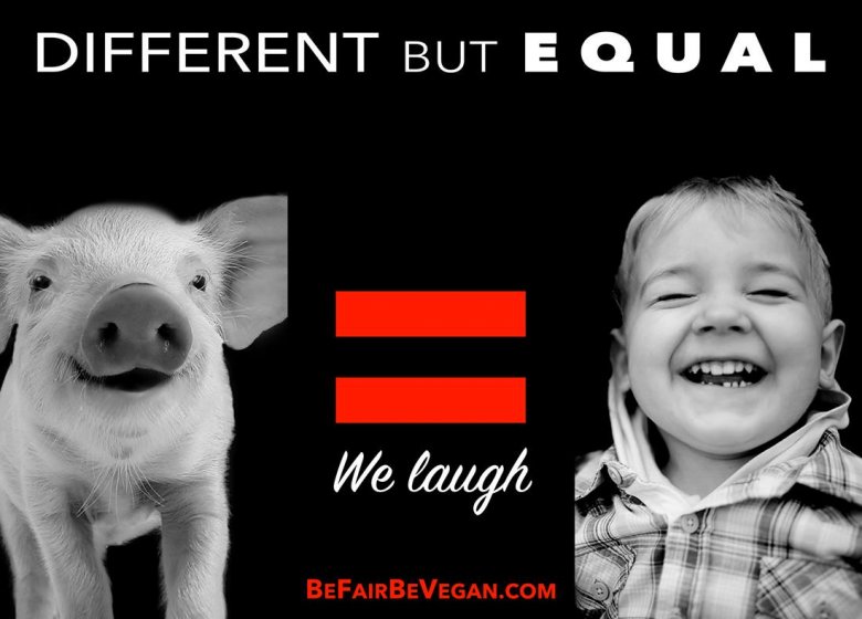 BE FAIR BEVEGAN - wegańska kampania billboardowa na Time Squere. 
Inne, a jednak takie same jak my!