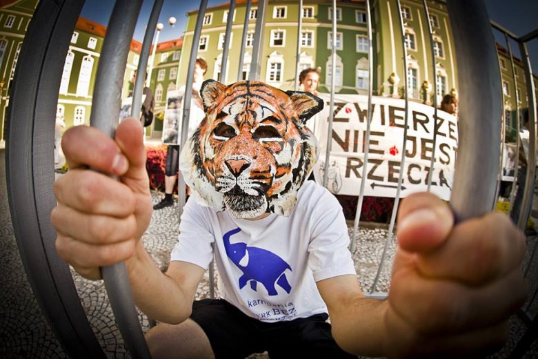 fot. Maciej Soja (http://www.maciejsoja.com/)