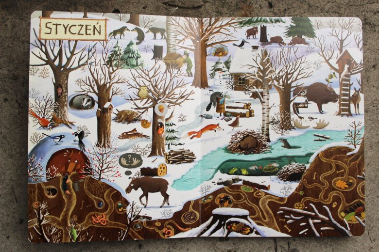 Rok w lesie, Emilia Dziubak