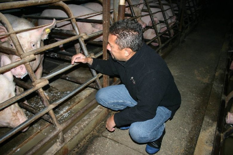 OPEN RESCUE na fermie w Nowej Zelandii