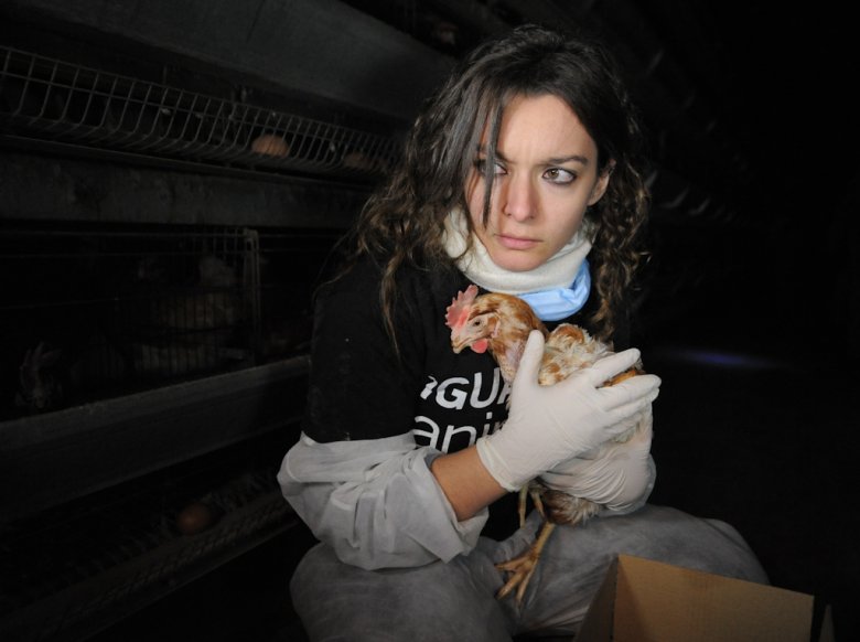 fot. Jo-Anne McArthur