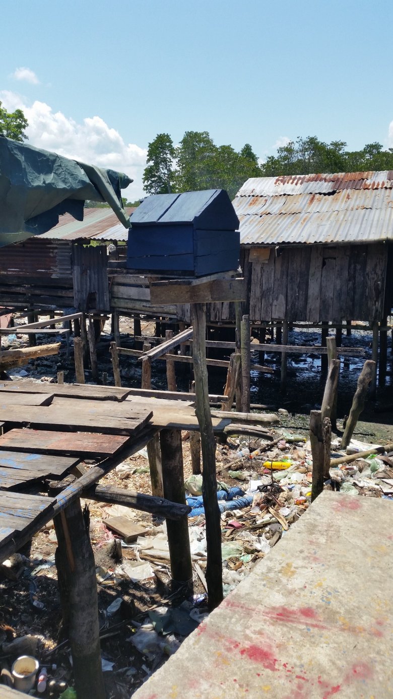 Raj od kulis • fot. Agata Czachórska