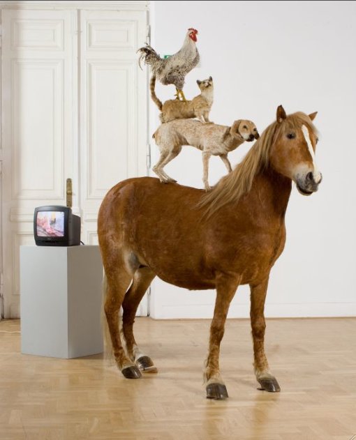 Katarzyna Kozyra, Piramida zwierząt, 1993, wypchane zwierzęta, film wideo. Dzięki uprzejmości Zachęty Narodowej Galerii Sztuki, Warszawa, fot. J. Gładykowski