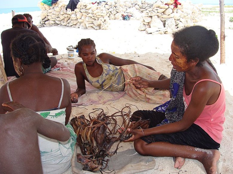 Ustalanie list zakupów w trakcie lunchu z suszonej ośmiornicy.