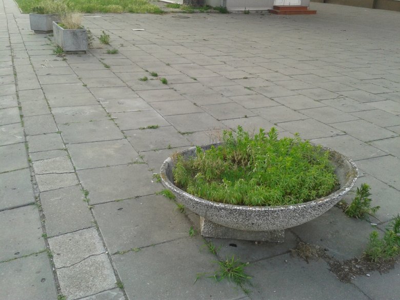 Typowa grochowska "mała architektura"