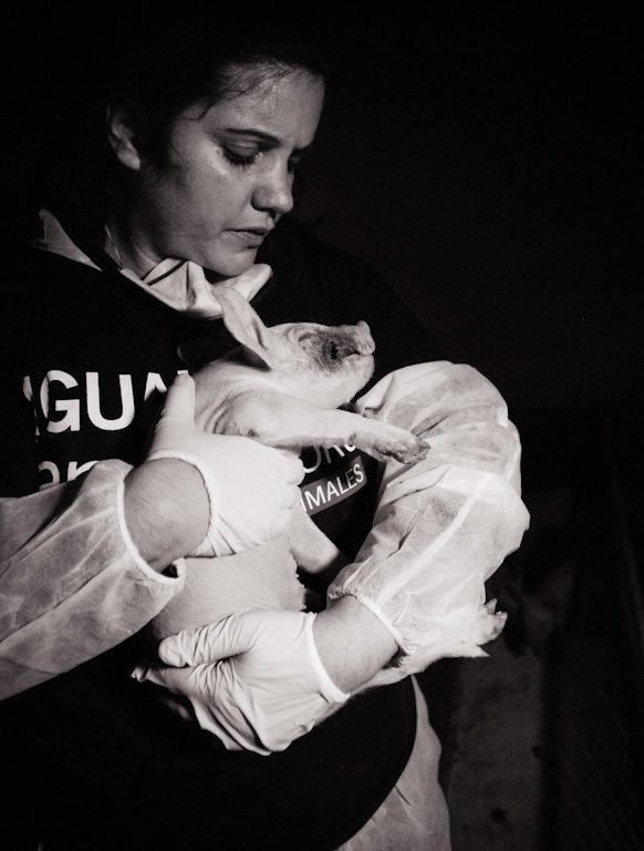 fot. Jo-Anne McArthur