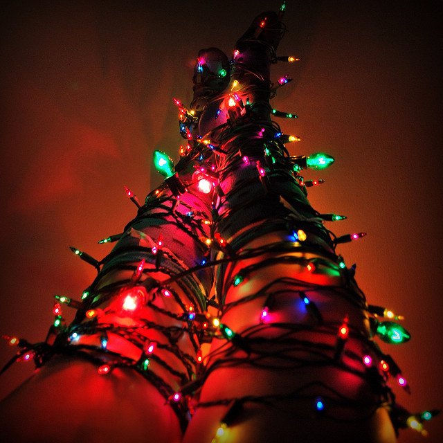 Zdjęcie autorstwa: Morgan / CC BY 2.0