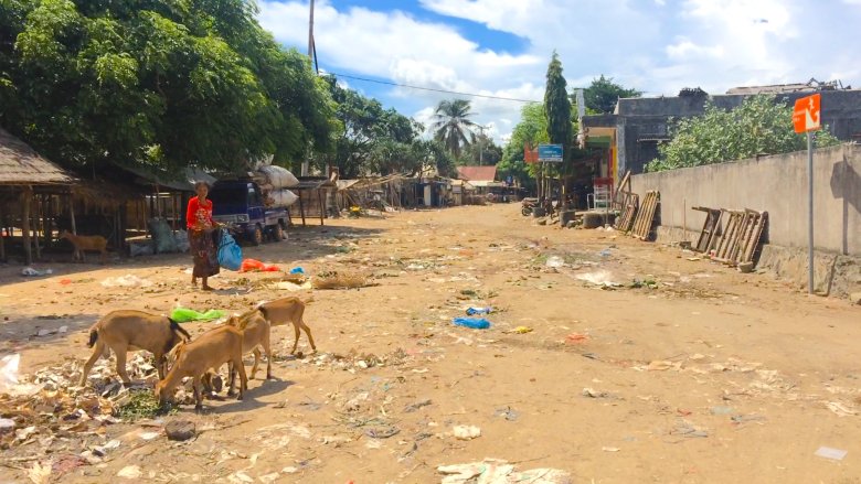 Kuta na Lombok, 2016