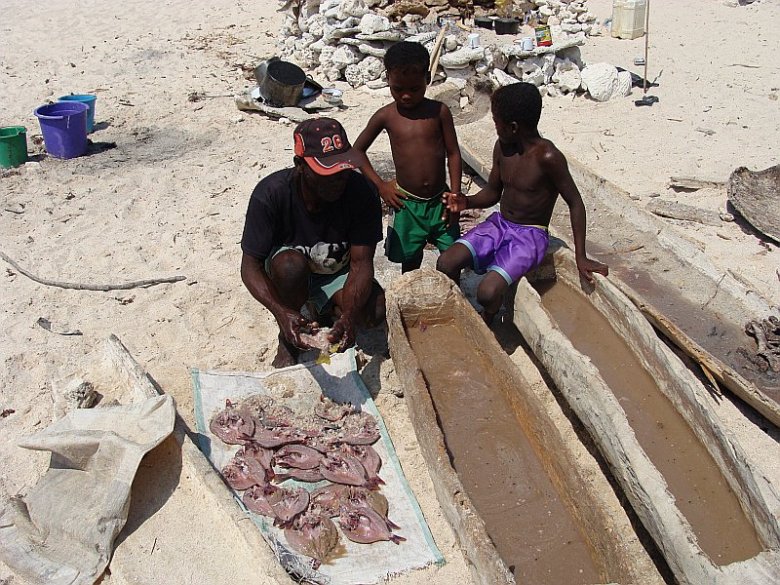 Przed suszeniem ryby moczy się w solance.