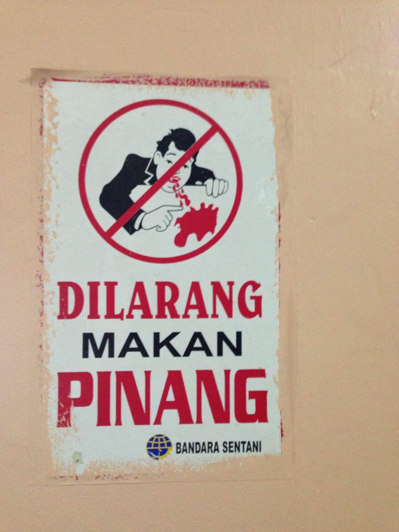 Zakaz plucia pinangiem