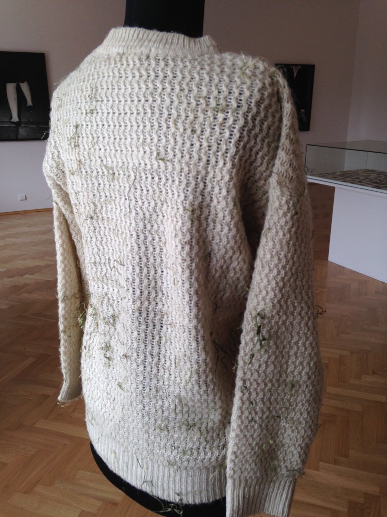 Eksponat z wystawy Clare Strand.