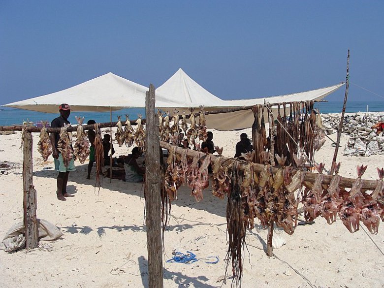 Suszone ryby i ośmiornice to podstawa wyżywienia morskich koczowników