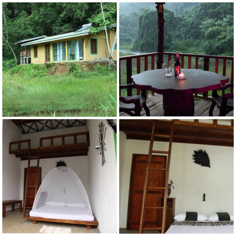 Sinharaja Forest Edye - Guest House został urządzony nowocześnie i wygodnie. Deniyaya, Sri Lanka