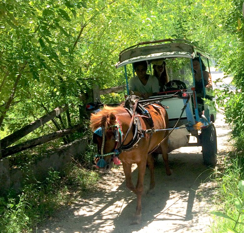 Środek lokomocji na Gili Meno, 2016