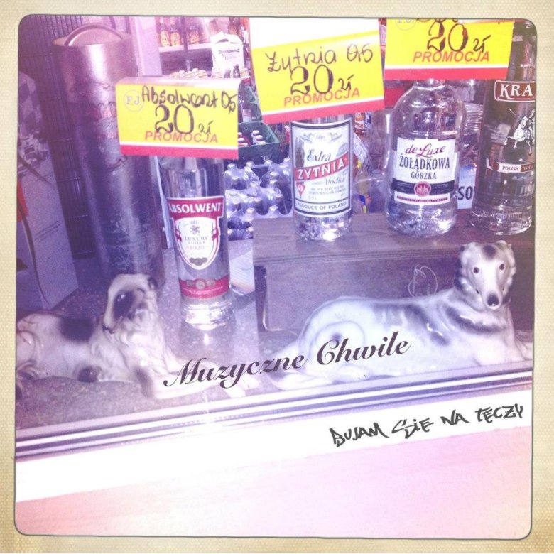 Singiel "Bujam się na tęczy"