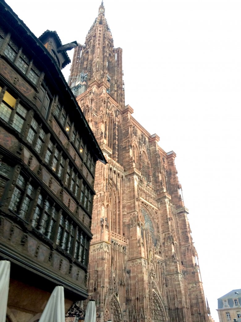 Katedra Notre-Dame, Strasburg, 2016