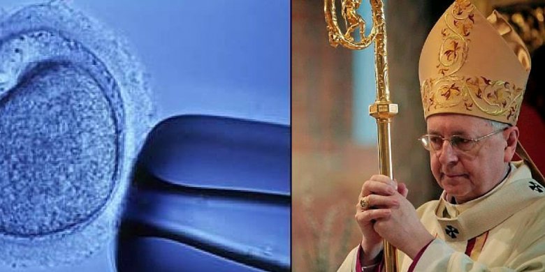 Zapłodnienie in vitro / Stanisław Gądecki
fot. Getty Images / Piotr Skórnicki AG