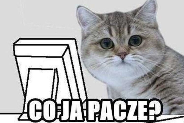 Rys. 2. Polska wersja mema „co ja pacze?”