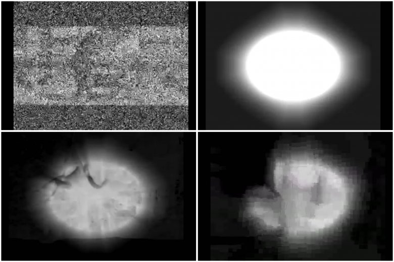 Kadry z filmu opublikowanego na profilu zmarłej Alicji F.