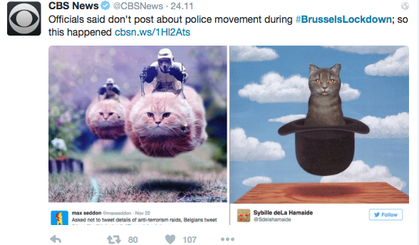 Pod hastagiem #BrusselsLockDown widniały zdjęcia kotów.