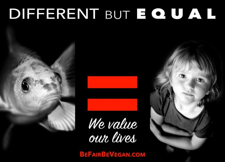 BE FAIR BEVEGAN - wegańska kampania billboardowa na Time Squere. 
Inne, a jednak takie same.