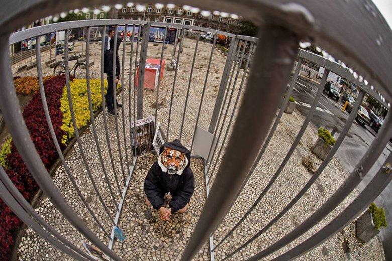 fot. Maciej Soja (http://www.maciejsoja.com/)