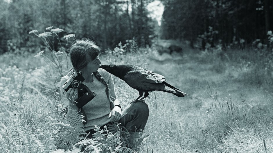 Elita randki darmowy okres próbny